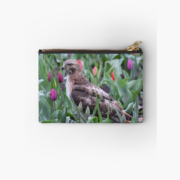 Item preview, Red-tailed hawk tiptoeing through the tulips designed and sold by LJSparvero.