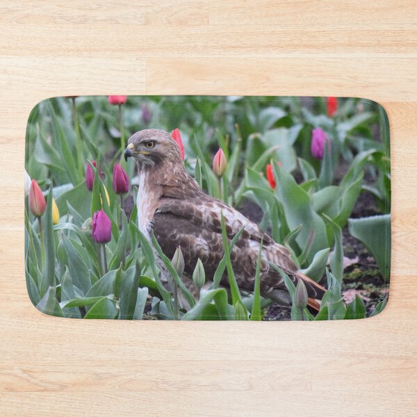 Item preview, Red-tailed hawk tiptoeing through the tulips designed and sold by LJSparvero.
