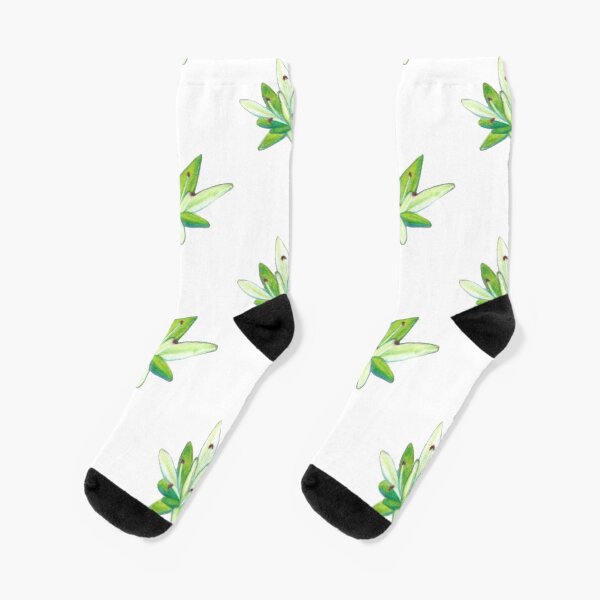 Stonecrop Socks