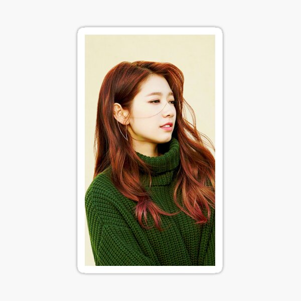 Park Shin Sticker