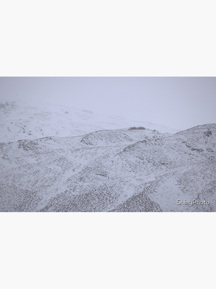 Pure Geometry by ShinyPhoto
