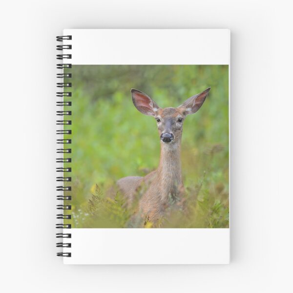 Item preview, Summer Doe designed and sold by Simpsonwildlife.