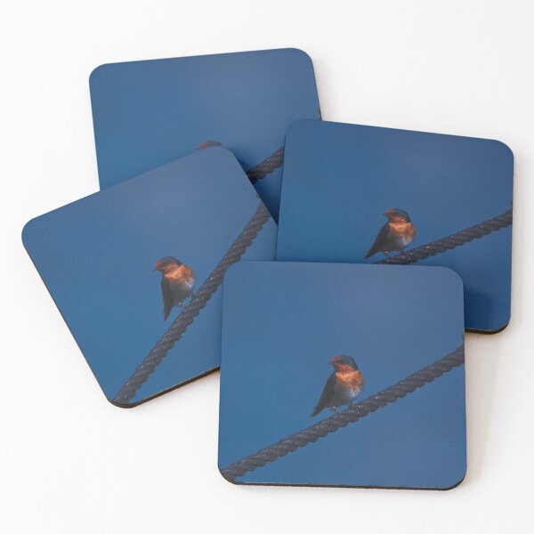 Item preview, A Swallow On A Rope In The Marina designed and sold by Jason Gilbert.