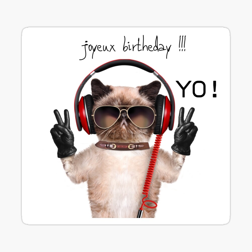 Masque Chat Rappeur Joyeux Anniversaire Par Jigee Redbubble