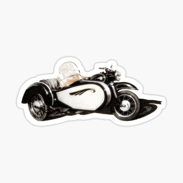 Team driver sticker personalized sidecar motorcycle dinghy 25x16cm A5650