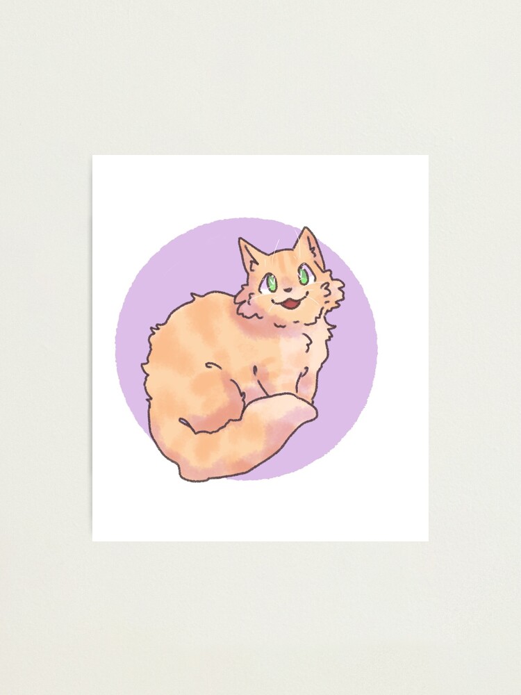 Impression Photo Gros Chat Bourre D Amour Par Ceciliartrash Redbubble