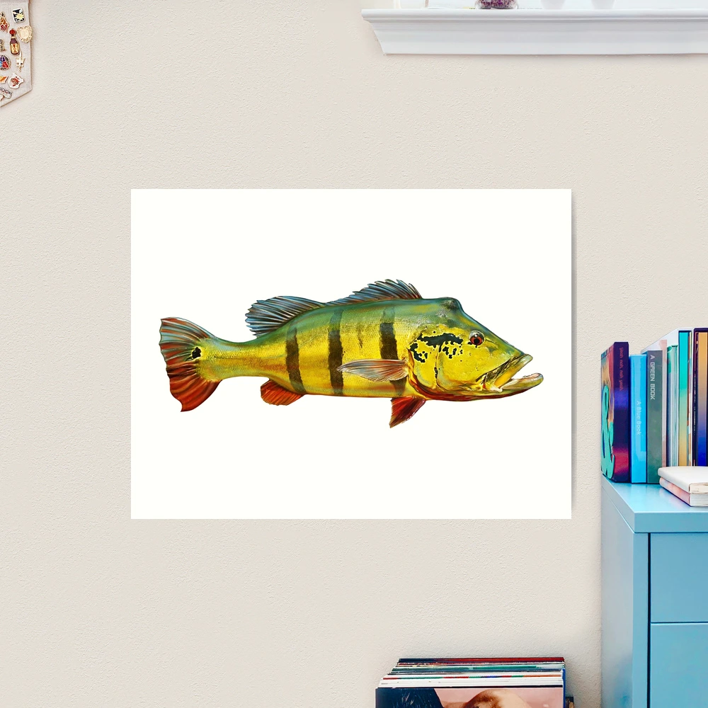 Peacock Bass | Art Print