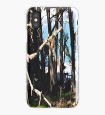Monterey Brush... iPhone Case