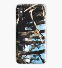 Monterey Brush... iPhone Case