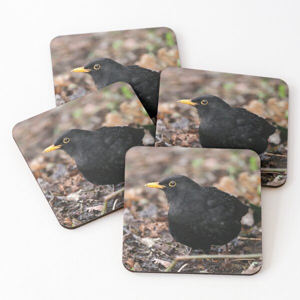 Item preview, Plump blackbird designed and sold by GreyFeatherPhot.