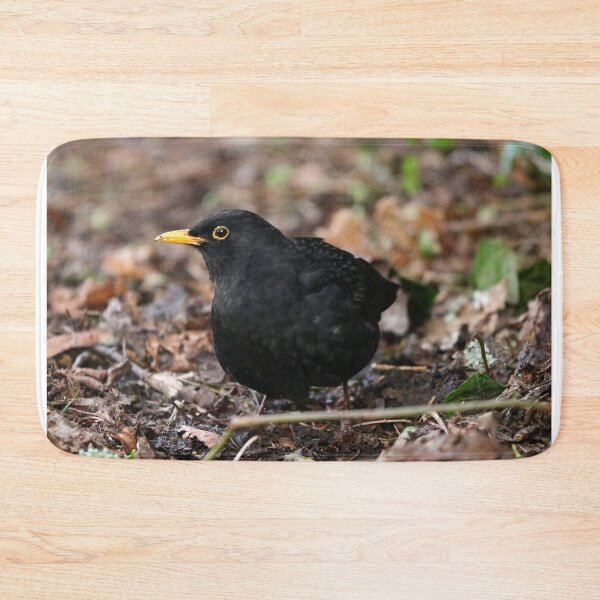 Item preview, Plump blackbird designed and sold by GreyFeatherPhot.