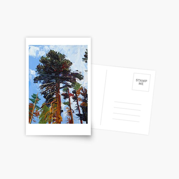 Big Pine Postcard