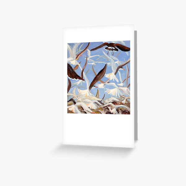 Terns and Gulls Greeting Card