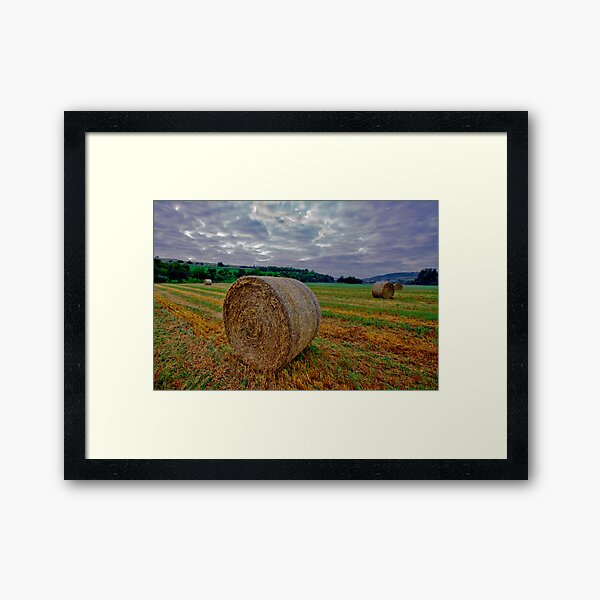 Hay Bails at Sunrise Framed Art Print