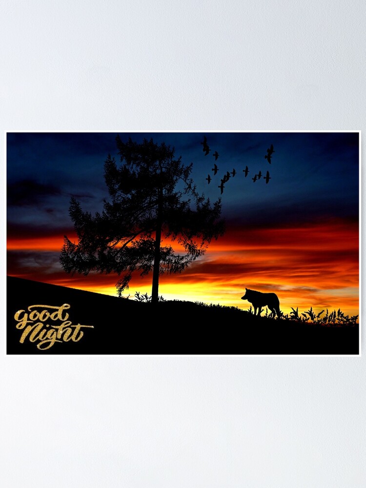Póster «Buenas noches al atardecer» de hafid1984achbar | Redbubble Póster «Buenas noches al atardecer» de hafid1984achbar | Redbubble
