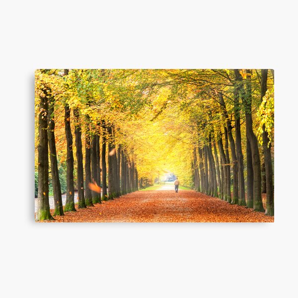 Item preview, Autumn leaves fall designed and sold by THHoang.