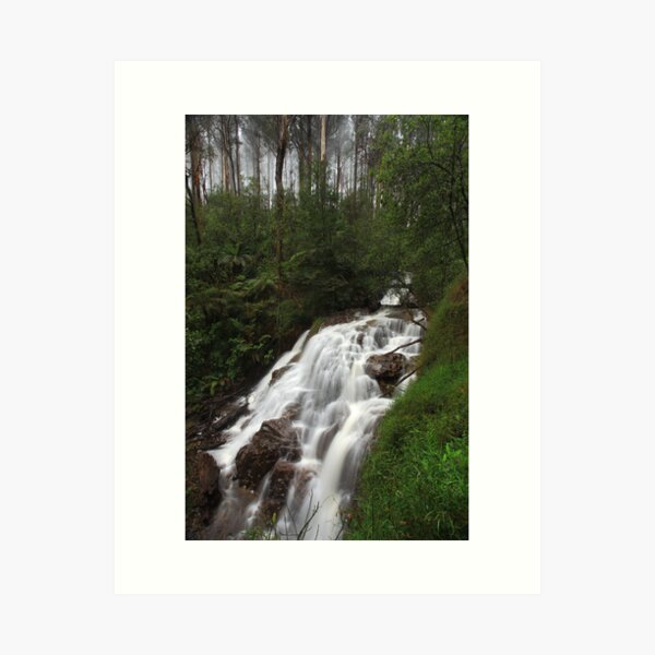 Item preview, Sylvia Creek Falls designed and sold by Donovan Wilson.