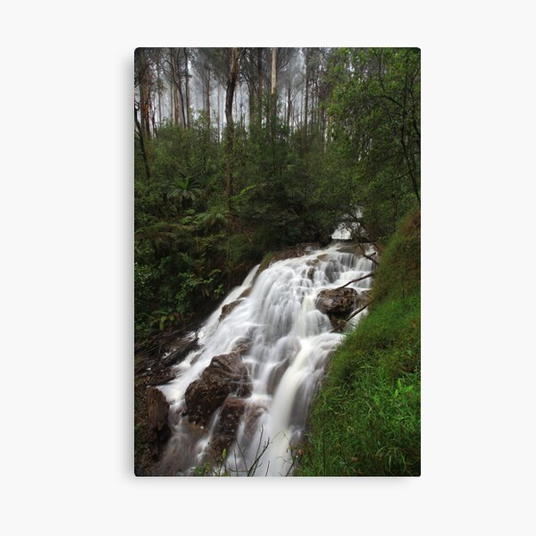 Item preview, Sylvia Creek Falls designed and sold by Donovan Wilson.
