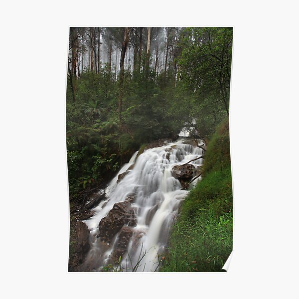 Sylvia Creek Falls Poster