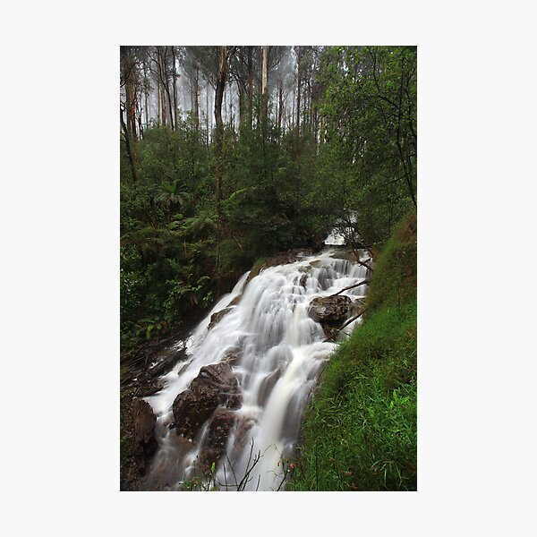Item preview, Sylvia Creek Falls designed and sold by Donovan Wilson.