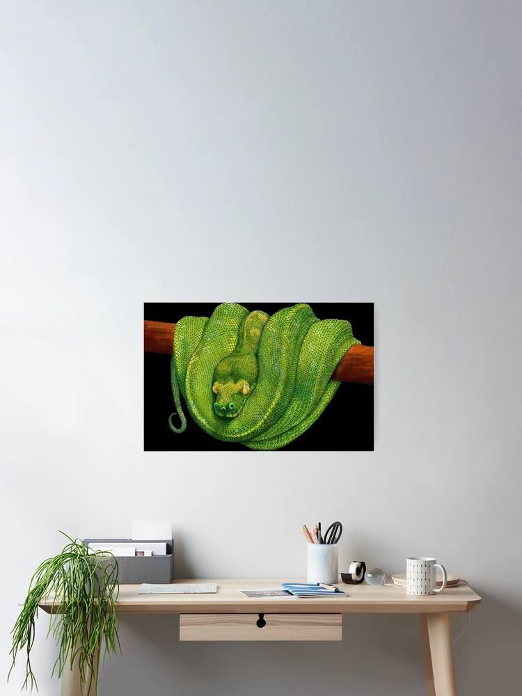 Thumbnail 2 of 3, Poster, Green Tree Python designed and sold by TimJeffsArt.