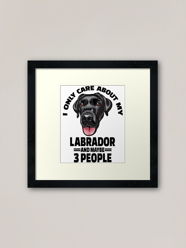labrador retriever care