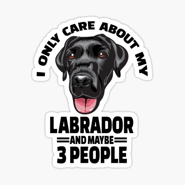 Black Labrador Retriever Stickers - I Only Care About My Labrador Retriever And Maybe 3 People Sticker