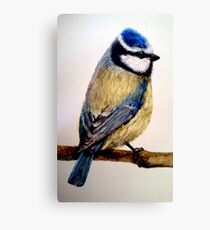 Blue Tit Canvas Print