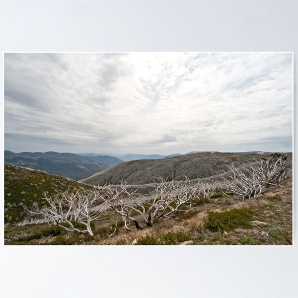 Item preview, Falls Creek 1 designed and sold by pennyswork.