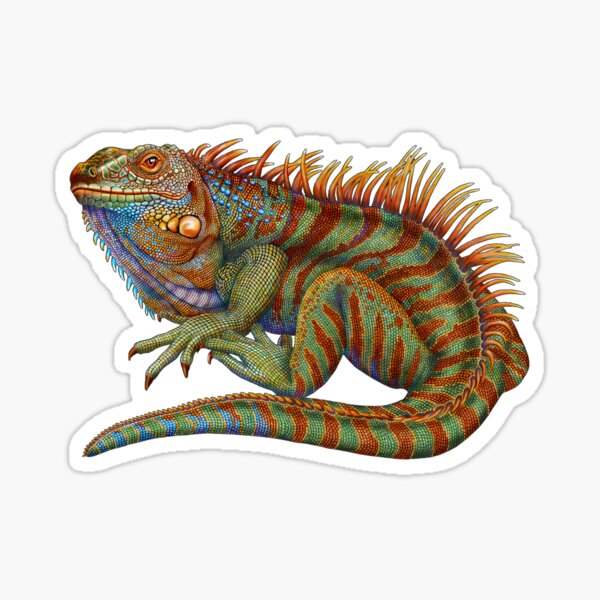 Item preview, Iguana designed and sold by TimJeffsArt.