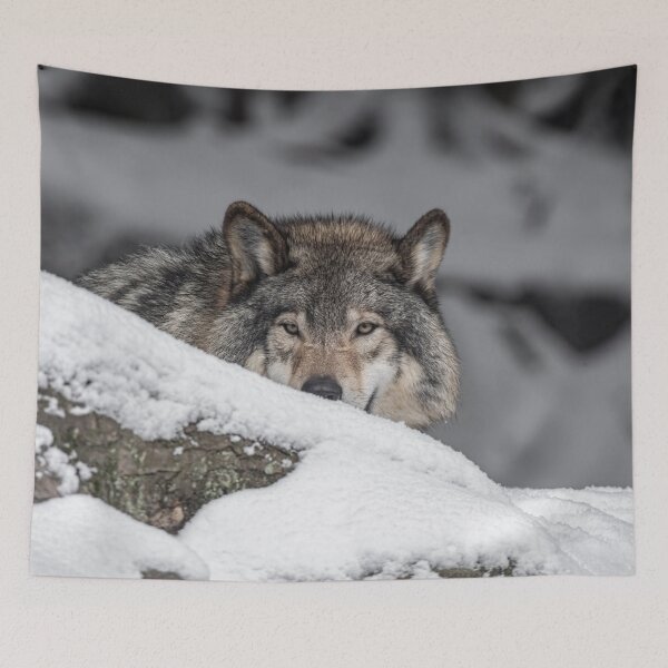 Item preview, Eastern Gray Wolf  designed and sold by Michael Cummings.
