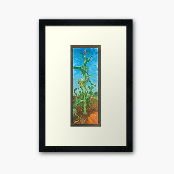 Three Sisters: Corn, Beans & Squash Framed Art Print