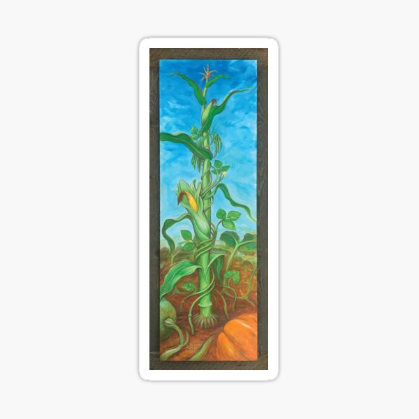Three Sisters: Corn, Beans & Squash Sticker