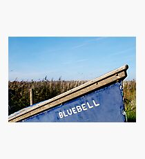 Bluebell Photographic Print