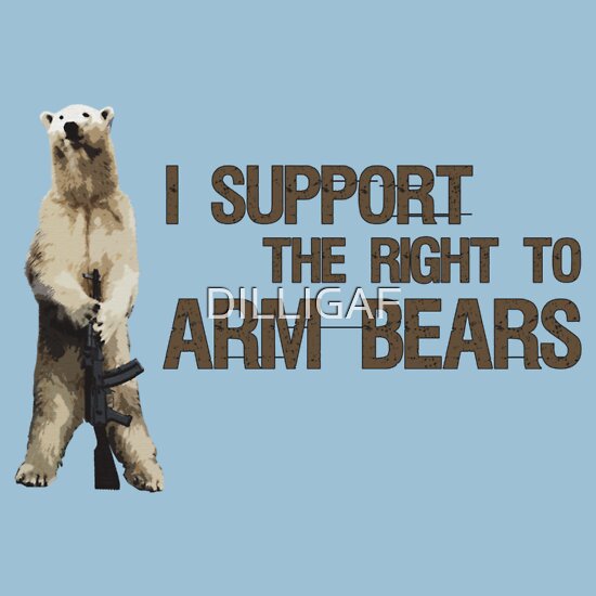 I support the Bill of Rights amendment II - The right keep and arm bears!