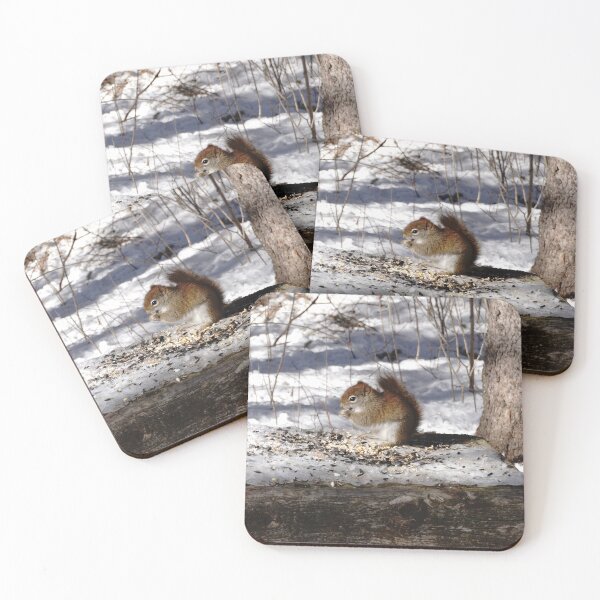 Item preview, Tiny red squirrel eating seeds on a snowy woodland trail  designed and sold by cuisinecat2.