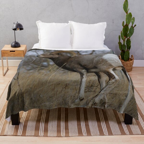 Item preview, Big Horn Sheep designed and sold by StevenElliot.