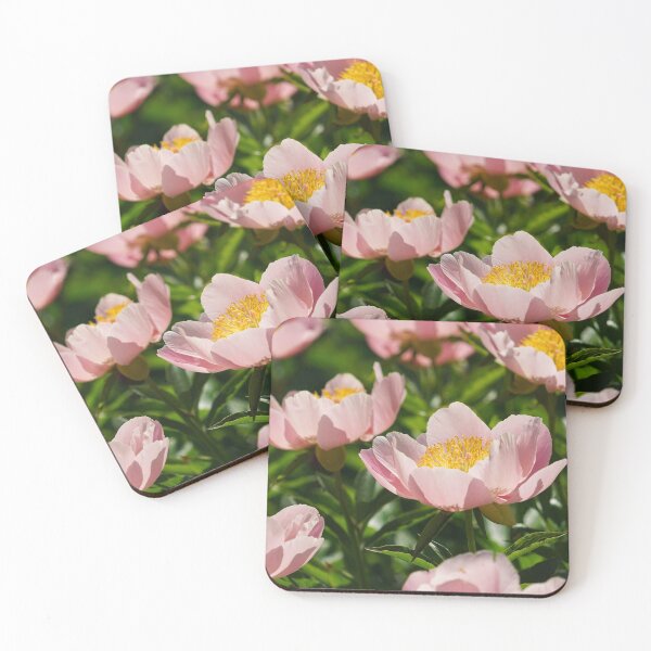 Item preview, "Light Pink Peonies in Sunlight" designed and sold by RCNaturephotos.