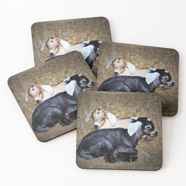 Item preview, Cabras bebé designed and sold by Savannah Gibbs.
