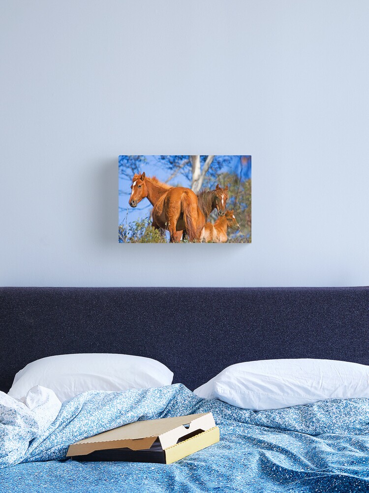 Thumbnail 2 of 3, Canvas Print, Brumbies in Kosciuszko National Park designed and sold by RICHARDW.