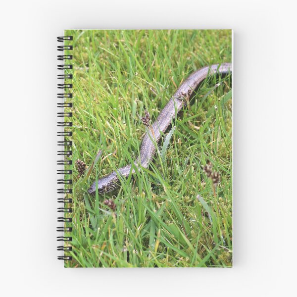 Item preview, Slowworm designed and sold by pinkal.