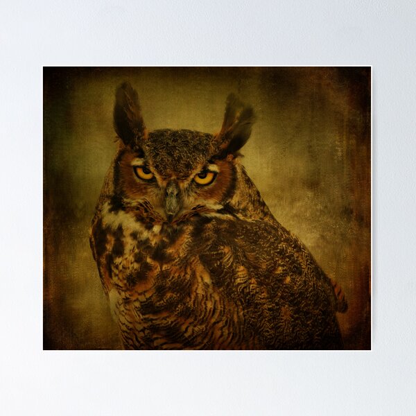 Artikelvorschau, Great Horned Owl entworfen und verkauft von Sandy Keeton.