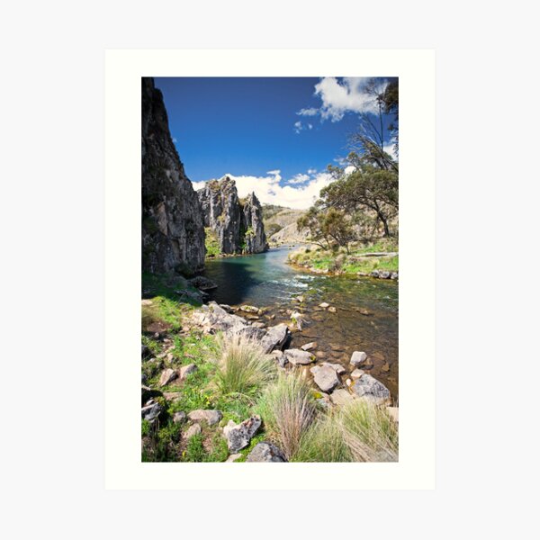 Caves Creek, Kosciuszko National Park Art Print