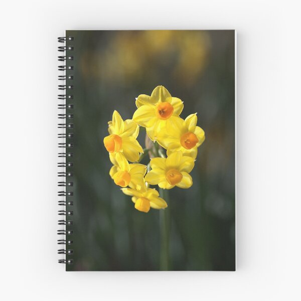 Item preview, Jonquil Cluster designed and sold by Joy Watson - Natural Light Photography .