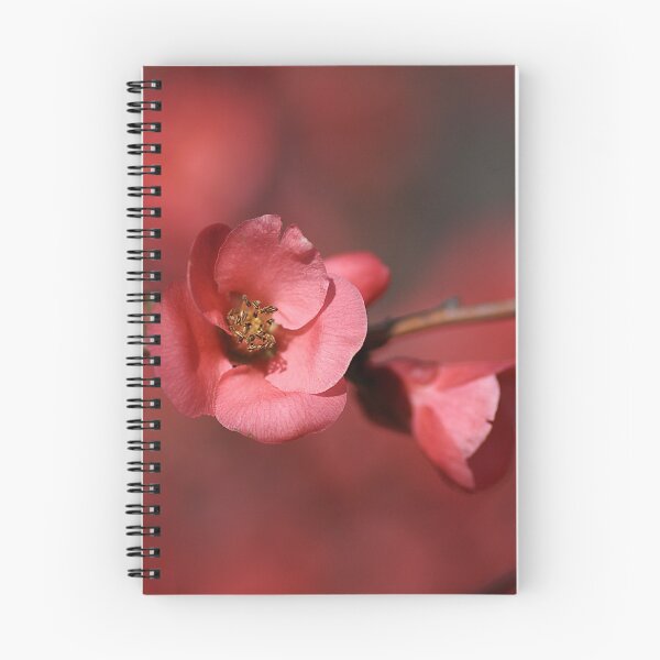 Item preview, Spring Richness designed and sold by Joy Watson - Natural Light Photography .