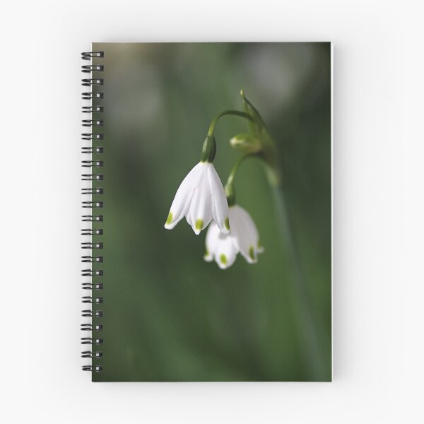 Item preview, Snowdrop Duet designed and sold by Joy Watson - Natural Light Photography .
