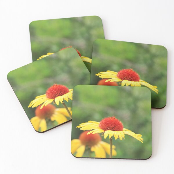 Item preview, Great Blanket Flowers designed and sold by Alyce Taylor.