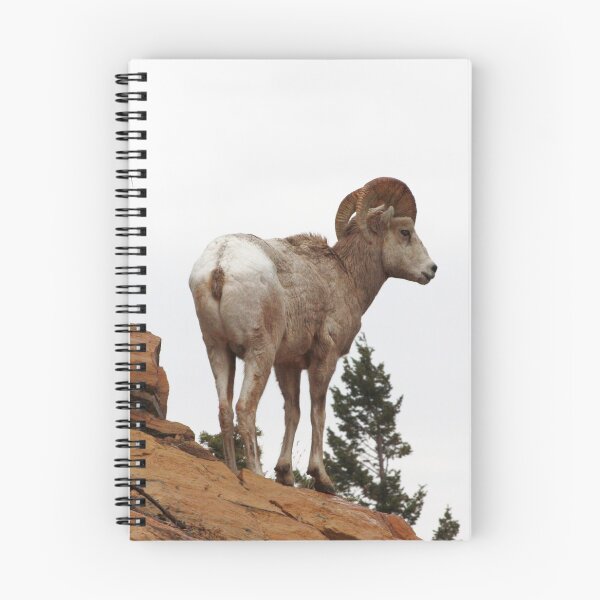 Item preview, Rocky Mountain Sheep designed and sold by Alyce Taylor.