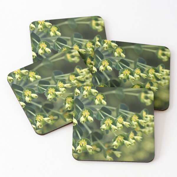 Item preview, Unique Nature - Mediterranean spurge designed and sold by Joy Watson - Natural Light Photography .
