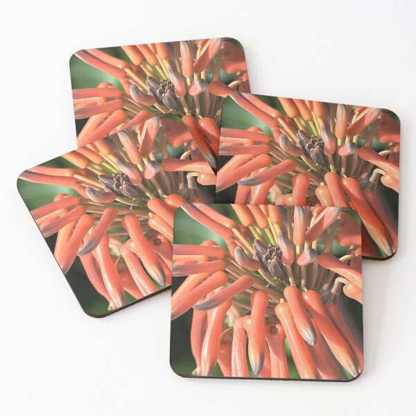 Item preview, I'm breaking OUT designed and sold by Joy Watson - Natural Light Photography .